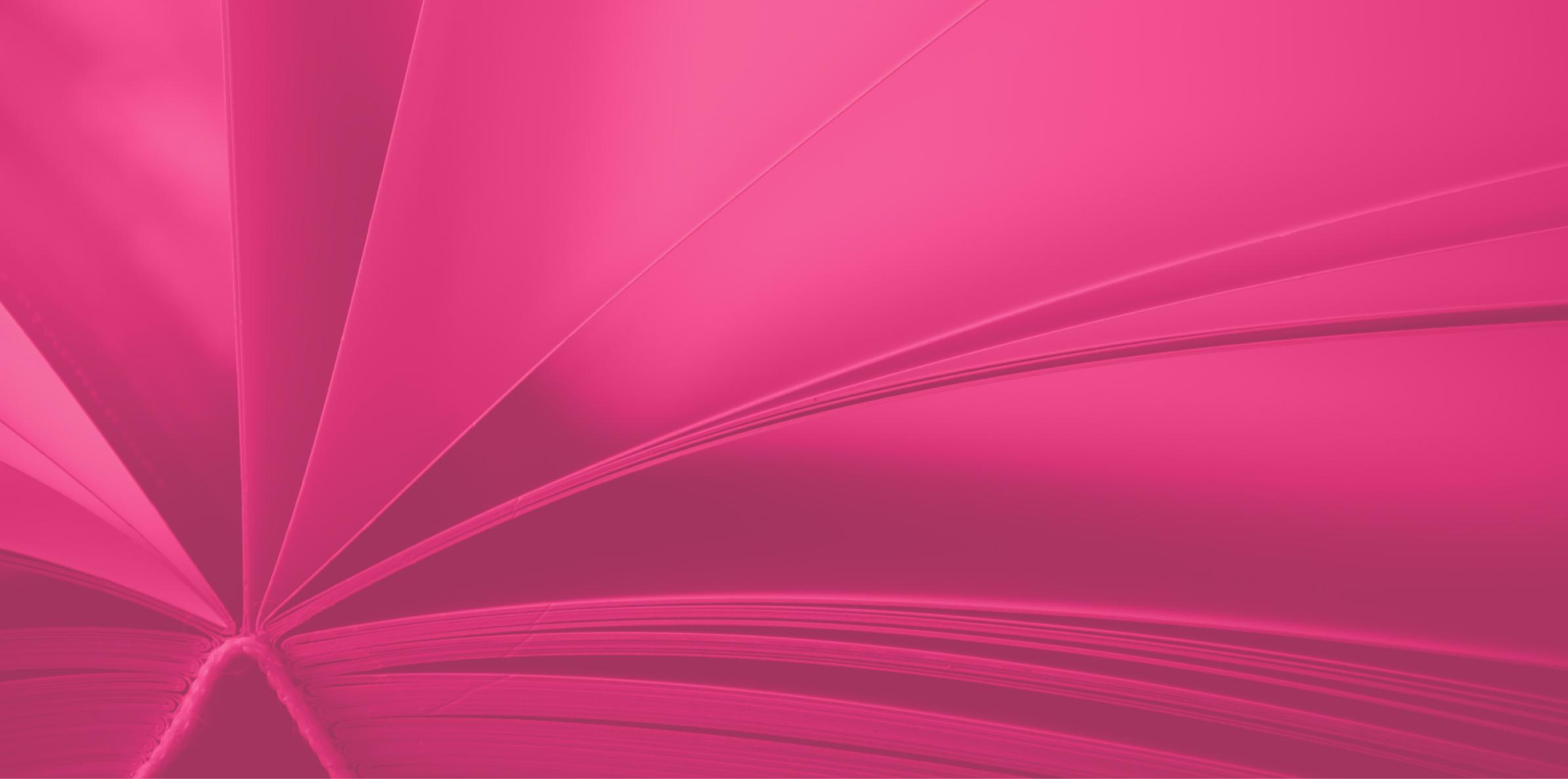 PRMR Inc Background